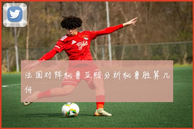 法国对阵秘鲁亚赔分析秘鲁胜算几何
